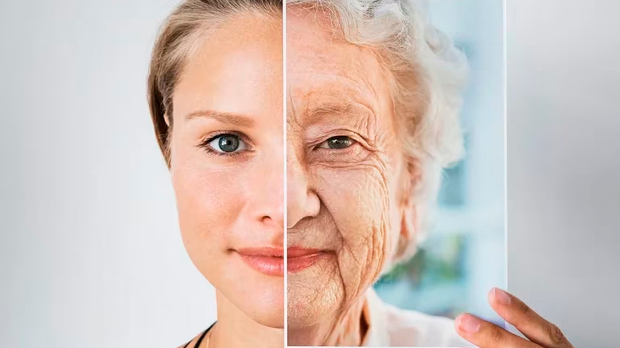 La historia detrás del hito científico de la longevidad: cómo lograron revertir el envejecimiento en ratones