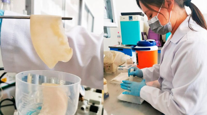 Investigador de universidad mexicana desarrolla alternativa biodegradable a los empaques de unicel