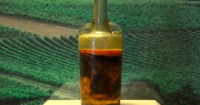 Botella de vino de 1.700 años, la más antigua del mundo, podría ser segura para beber