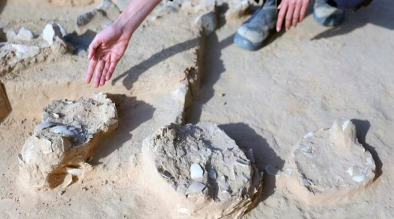 Exploradores descubren huevos de avestruz que tendrían 4 mil años de antigüedad