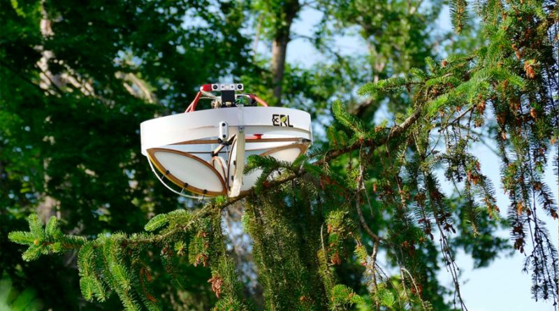 Crean un dron que recoge ADN animal de las ramas de los árboles