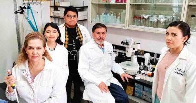 Desarrollo de la UNAM: Bacteria elimina efectos nocivos de azúcar y grasa