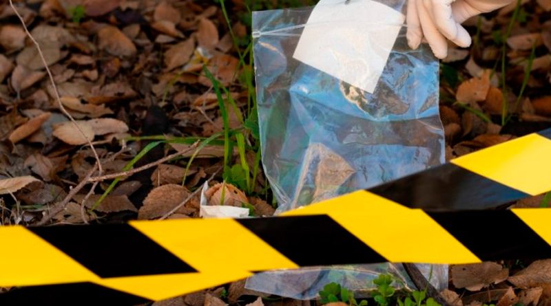 Ciencia forense en México: Mitos y realidades del llamado efecto CSI en materia criminal