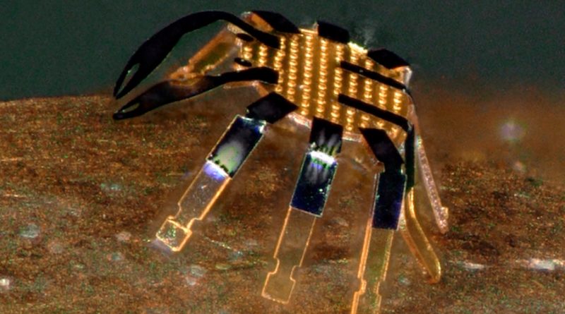 Crean robots similares a escarabajos para trabajos en espacios reducidos