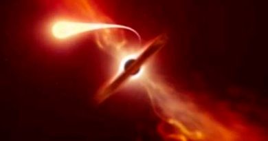 Científicos muestran cómo una estrella sobrevive tras ser devorada por agujero negro