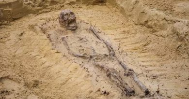Descubren fosa común de hace 7.000 años: varios esqueletos estaban decapitados