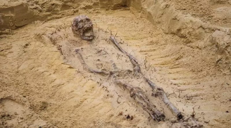 Descubren fosa común de hace 7.000 años: varios esqueletos estaban decapitados