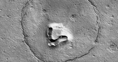Astrónomos de la NASA acaban de descubrir un 'oso' en Marte