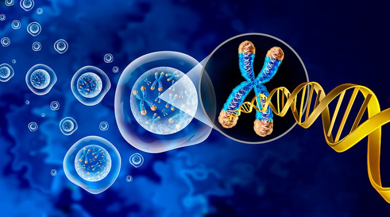 Investigadores mexicanos identifican la mutación genética que sería la causante del TDAH