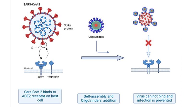 Un estudio desarrolla nanopartículas basadas en proteínas que neutralizan el virus