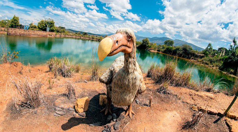 ¿Inspirados en Jurassic Park? Con ADN de las palomas planean 'revivir' al extinto pájaro Dodo