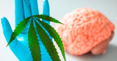 Descubren un fármaco de cannabis contra el dolor que no afecta a la mente