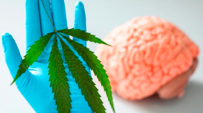 Descubren un fármaco de cannabis contra el dolor que no afecta a la mente