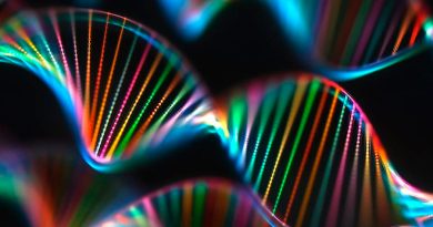 Descubren la 'caja negra' del genoma hasta ahora desconocida