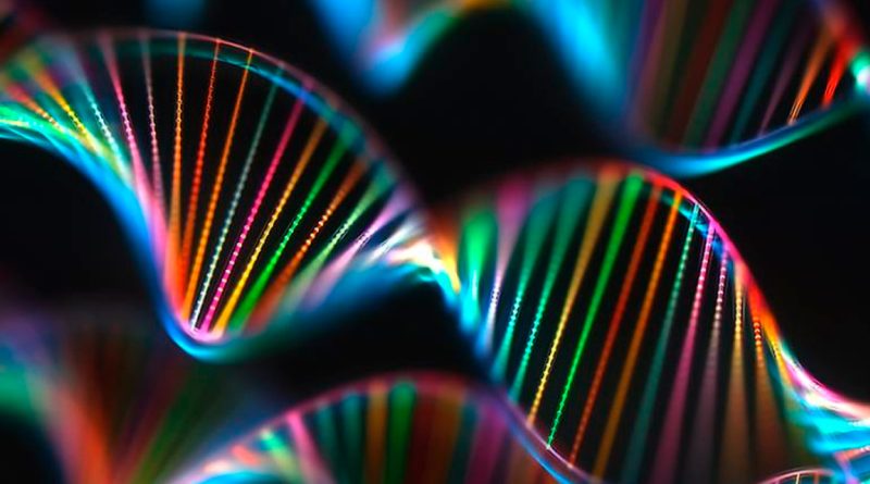 Descubren la 'caja negra' del genoma hasta ahora desconocida
