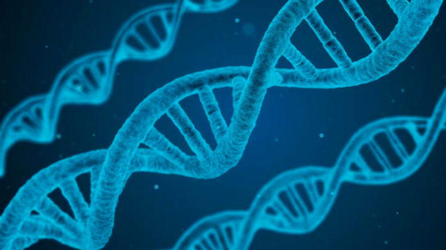 Adaptar medicación a perfil de ADN del paciente reduce efectos secundarios