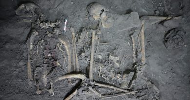 Descubren restos de mono araña de 1,700 años de antigüedad en Teotihuacán