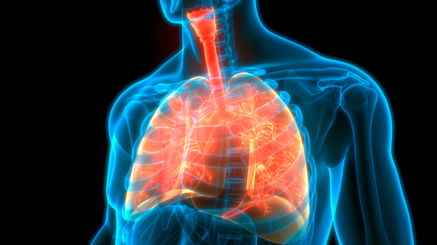 Investigadores utilizan nanopartículas para el tratamiento de la fibrosis pulmonar