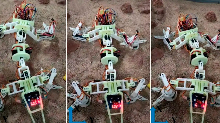 Diseñan un robot lagarto ideal para explorar la superficie de marte