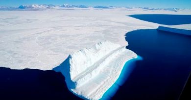 Récord de reducción de capa de hielo en Océano Antártico en enero