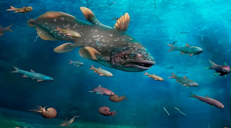 Fauna marina se recuperó un millón de años después de la 'gran extinción'