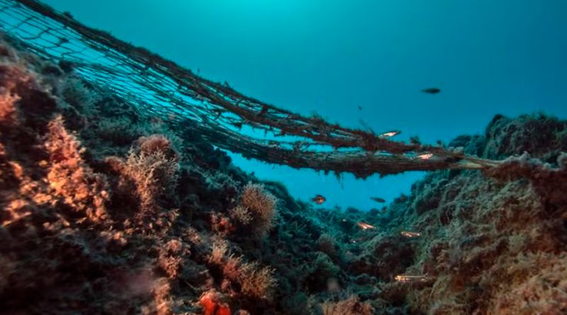 Descubren la causa por la que los microbios son capaces de vivir en las profundidades marítimas