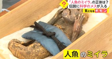 Revelan el origen de la aterradora sirena japonesa Ningyo hallada hace 300 años