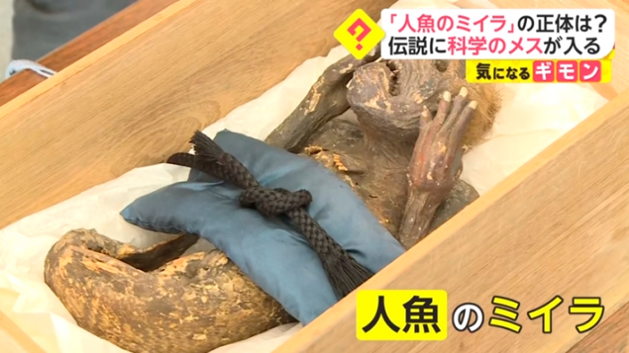Revelan el origen de la aterradora sirena japonesa Ningyo hallada hace 300 años