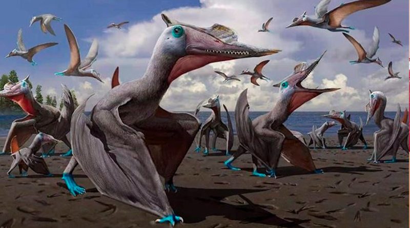 Los pterosaurios dominaron los cielos 115 millones de años