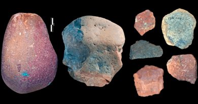 Herramientas de hace 3 millones de años no fueron hechas por humanos, sugiere estudio