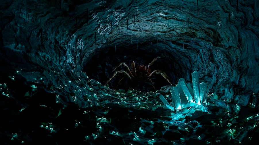 Siete nuevas especies de araña descubiertas en cuevas de Israel