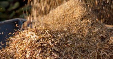 Logran producir plástico sostenible con el componente más abundante de la biomasa