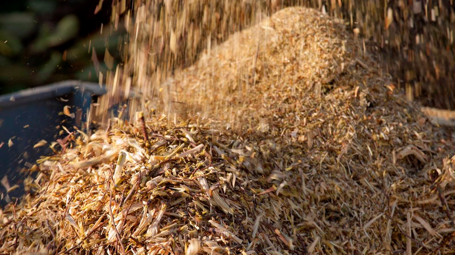 Logran producir plástico sostenible con el componente más abundante de la biomasa
