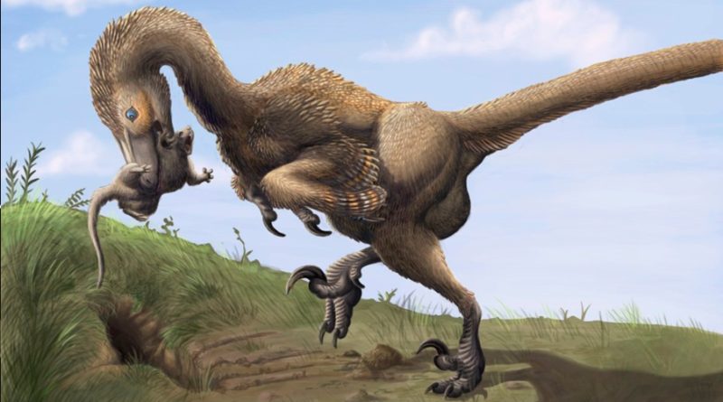 Cómo obtuvieron las alas los dinosaurios y se volvieron pájaros - INVDES