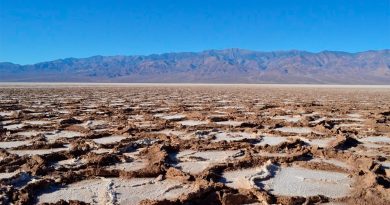Logran explicación científica a los patrones en forma de panal de los desiertos de sal