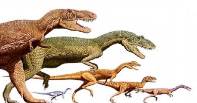 Describen porque había dinosaurios terópodos gigantes y otros enanos