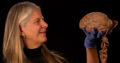 Por un derrame cerebral que la paralizó, científica hizo un gran descubrimiento