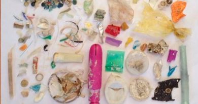 Los océanos acumulan 171 billones de trozos de plástico: estudio