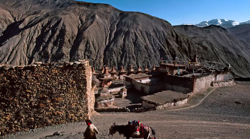 Científicos chinos descubren restos de antiguos arrecifes de coral en Tíbet