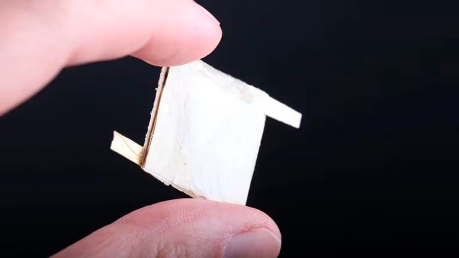 Científicos usan hongos para crear chips biodegradables