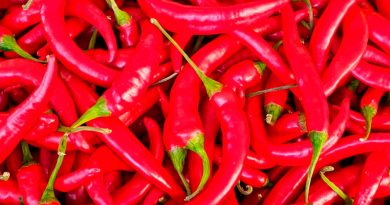 Entre el placer y el dolor: la ciencia de comer chile