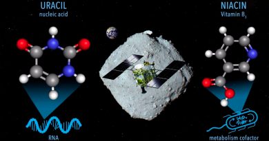 El asteroide Ryugu contiene un ingrediente del ARN
