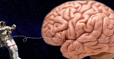 ¿Qué le ocurre al cerebro cuando viajamos al espacio?