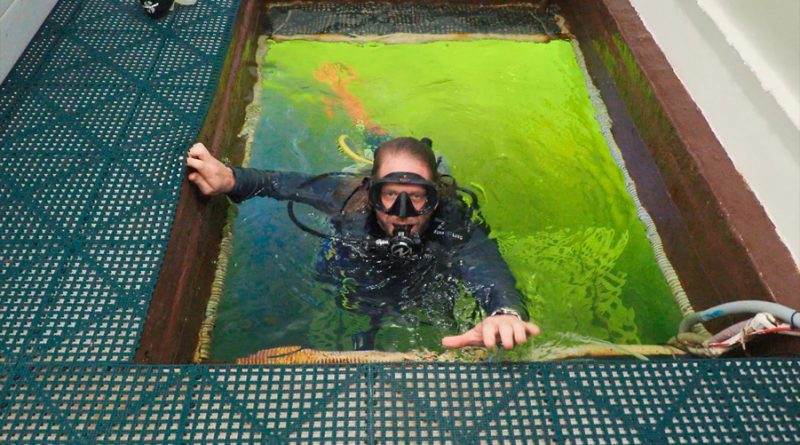 El hombre que vivirá 100 días bajo el agua por la ciencia