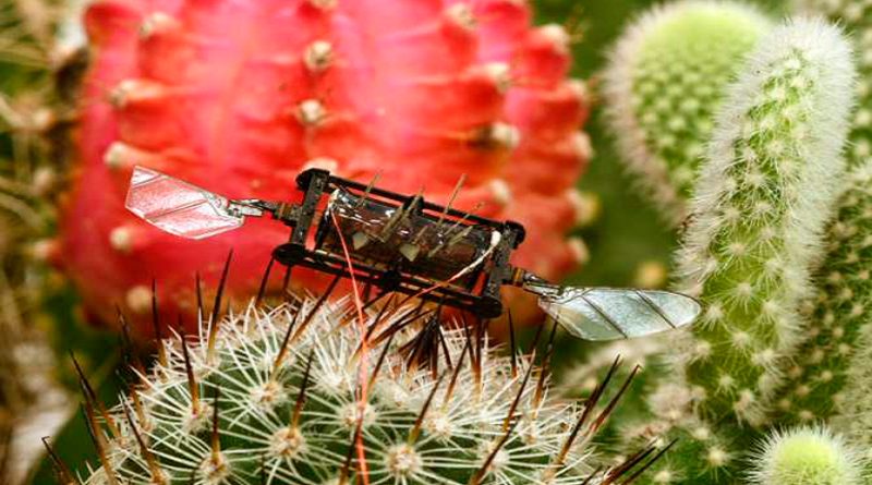 Crean robot insectoide capaz de volar incluso con daños en sus alas