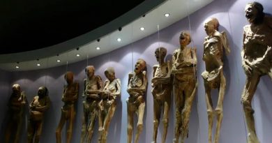 Indicios de hongo en exhibición de momias en México tiene preocupados a expertos