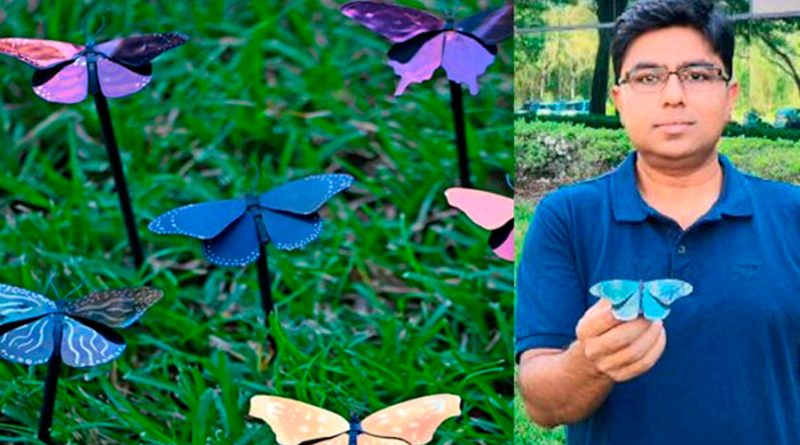 Científicos crean la pintura más liviana del mundo con la ayuda de las mariposas