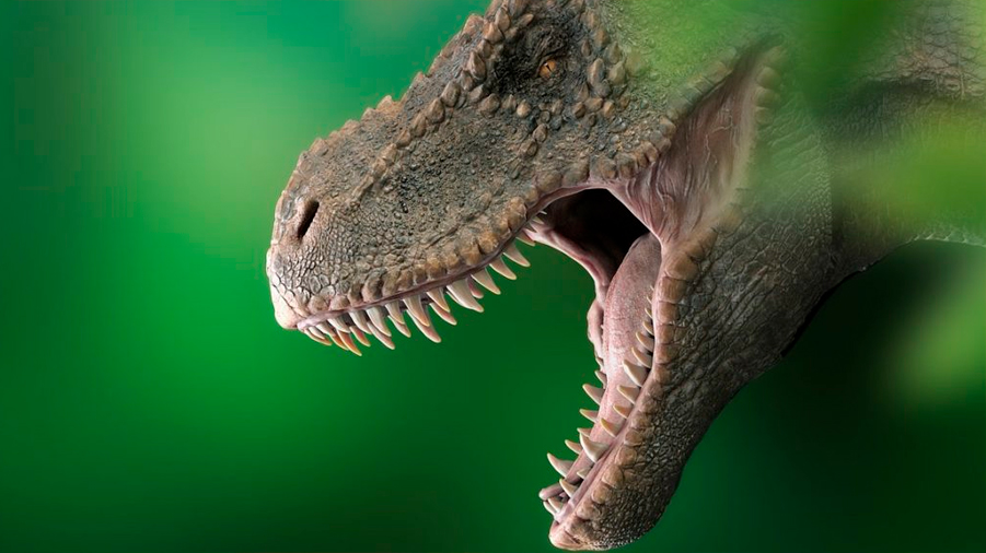 ‘Jurassic Park’ se equivocó, el Tiranosaurio Rex sí tenía labios