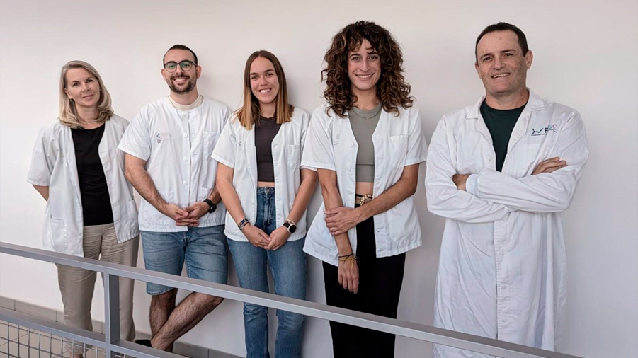 Investigadores del HUC descubren una nueva función de la proteína ATXN3 en células humanas