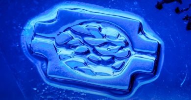 Una nueva técnica de bioimpresión 3D para crear tejidos humanos vascularizados